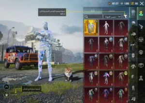 Pubg Accounts and Characters for Sale in Erbil