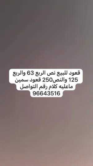 لحمم قعود للبيع القعود صغيرر 7 شهور سمينن