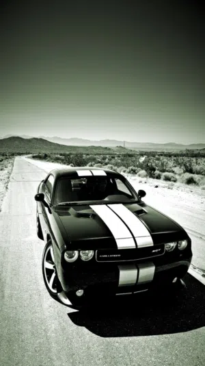 اللورد ALRAYES