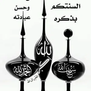 bassam shata