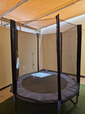 نطاطية/Trampoline
