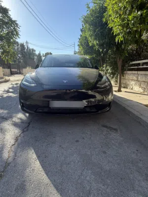 Tesla model y long range dual motor