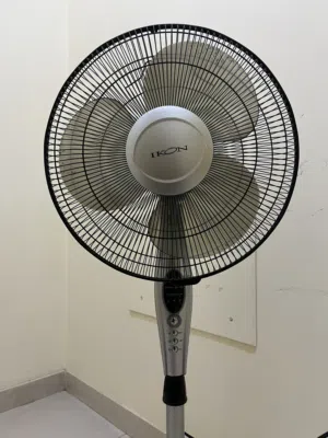 Fan ikon standing