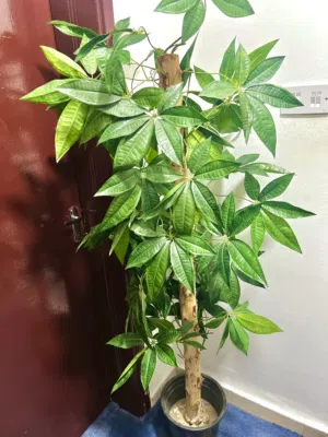 شجرة صناعية للتزيين