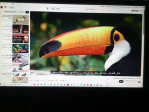 شاشة كمبيوتر سامسونج 22 إنش للبيع بحالة الوكالة