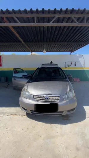Used Toyota Corolla in Tripoli