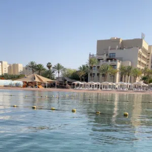 العقار 