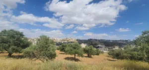 Mixed Use Land for Sale in Amman Naour