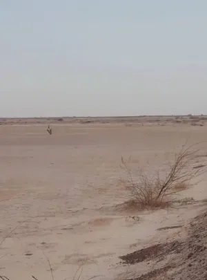 قطعة أرض للبيع
