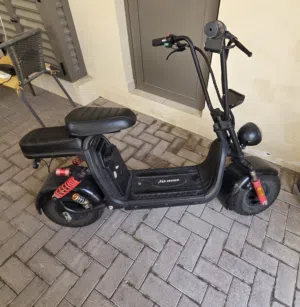 electric bike