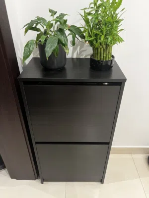 Shoe cabinet