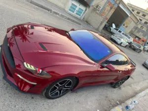 موستنك ايكو 2018