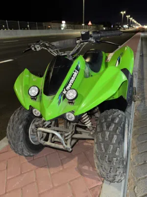 Kawasaki 90cc 2013