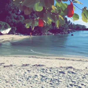 Maamar Alabri