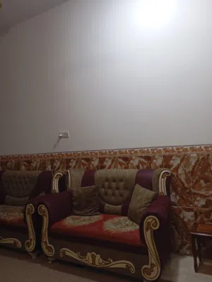 2تخم قنفات للبيع مكاني شمال البصره مامتعوبات ونضيفات   ديوان 2 تخم مرتب وملكي