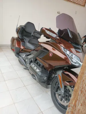 هوندا قولدوينق 2019