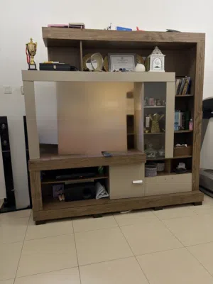 Living room TV stand