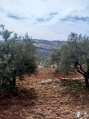 Farm Land for Sale in Jerash Soof