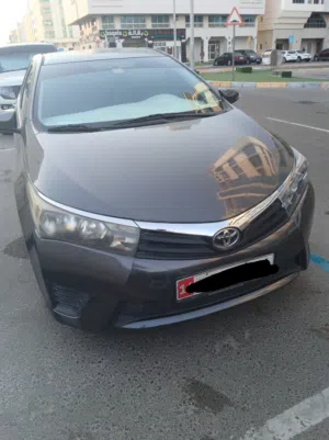 Used Toyota Corolla in Abu Dhabi