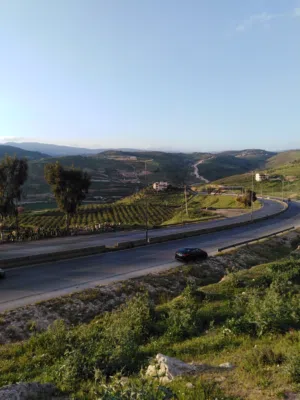 Commercial Land for Sale in Jerash Al-Mastaba