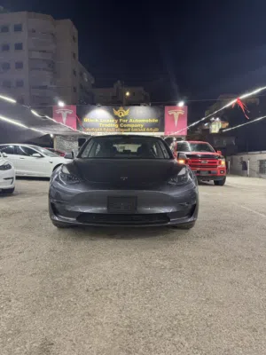 Tesla Model 3 Standard Range Plus 2021