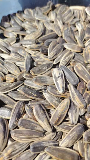 Others - Food - Supplements0