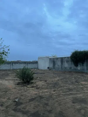 ارض للبيع كزيوني