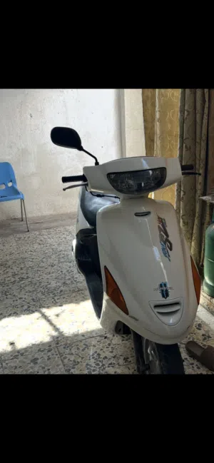 فراشه جديده