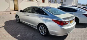 Sonata limited 2013