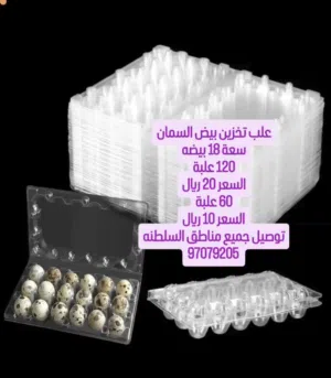 علب تخزين بيض سمان للبيع