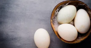 مطلوب بيض بط مخصب