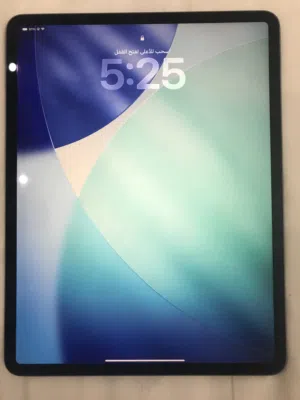 Apple iPad Pro 13 256 GB in Muscat