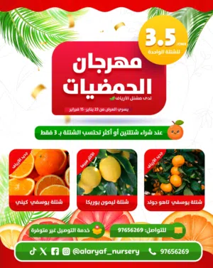 عرض ومهرجان الحمضيات من مشتل الأرياف  شتلات وأشجار الليمون والبرتقال ليمون بن زهير برتقال سكري