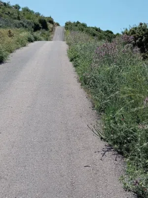 Mixed Use Land for Rent in Ajloun Sakhra