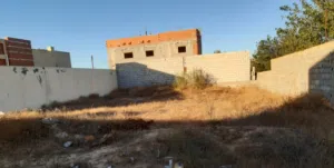 ارض عين زارة فطرة