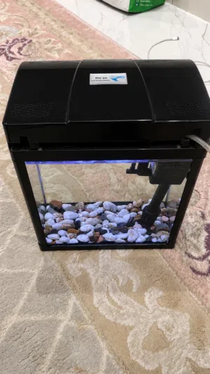 Aquarium Fish Tank with Filter & Light – Working