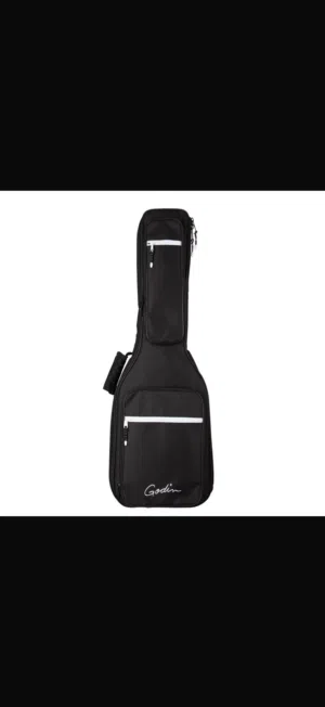 Godwin guitar case