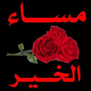 محمد فايز الوكيل 