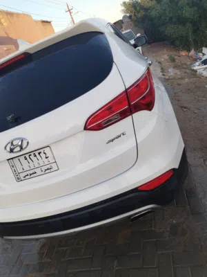 سنتافيه 2014 وارد