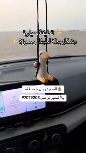 اكسوارات السياره داخليه  للبيع