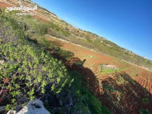 Mixed Use Land for Sale in Ajloun Other