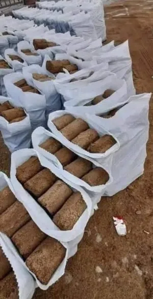 جفت مكلوس للبيع ممتاز وعدد الشوال 28 حبه التوصيل لجميع أنحاء المملكه