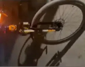 باسكل اوربي نوعيه مضبوطه