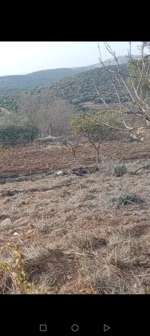 Residential Land for Sale in Ajloun A'fna