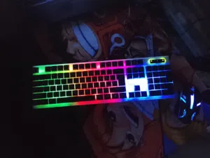 keyboard + mouse rgb