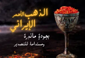 زعفران إيراني سوبر نيجين بالجملة للتصدير