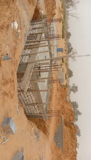 مقاول مصري