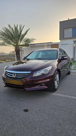 Used Honda Accord in Al Batinah