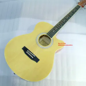 New Acoustic Guitar