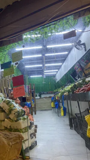 ستاندات وارفف خضار وفواكه